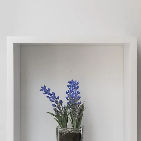 Apartment Studio Bilic *